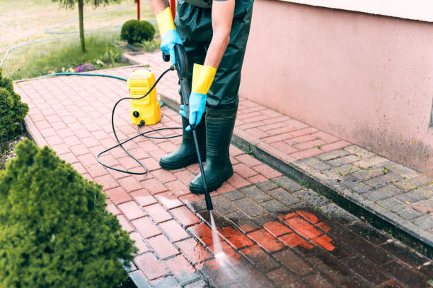 Best Roof Washing  in Hemphill, TX